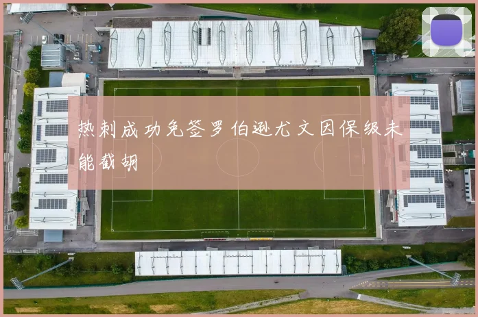 热刺成功免签罗伯逊尤文因保级未能截胡