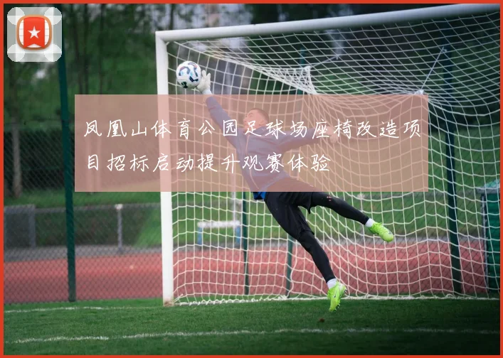凤凰山体育公园足球场座椅改造项目招标启动提升观赛体验
